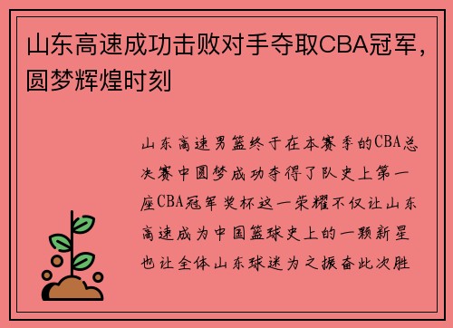 山东高速成功击败对手夺取CBA冠军，圆梦辉煌时刻